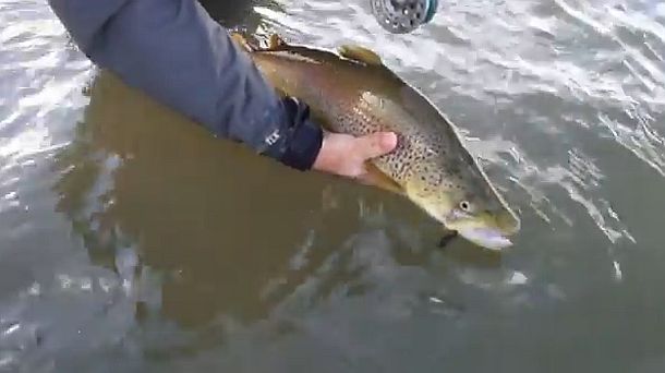 VIDEO: Trout lake opened to fishing